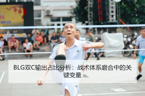 shuang-shu-chu-zhan-bi-fen-xi-zhan-shu-ti-xi-mo-he-zhong-de-guan-jian-bian-liang-2-542.jpg